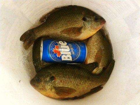 IMG-20130308-00270_zpsf1908ebd