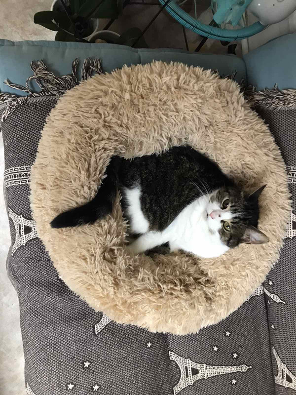 C981693F-6B4E-44A1-992B-1A36C1F39E1F