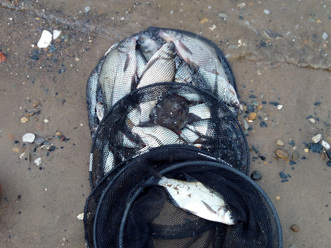 Крест 01.08.2014