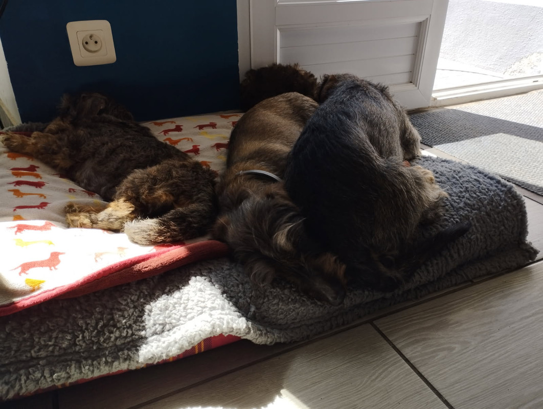 [Image: IMG-20250409-094559.jpg]