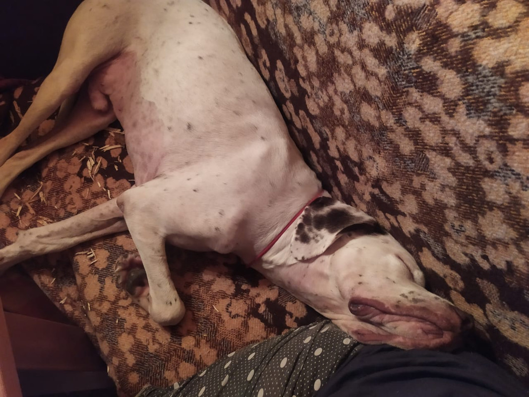 490C5FE9-71FB-4E1B-9232-F9713AD454DF