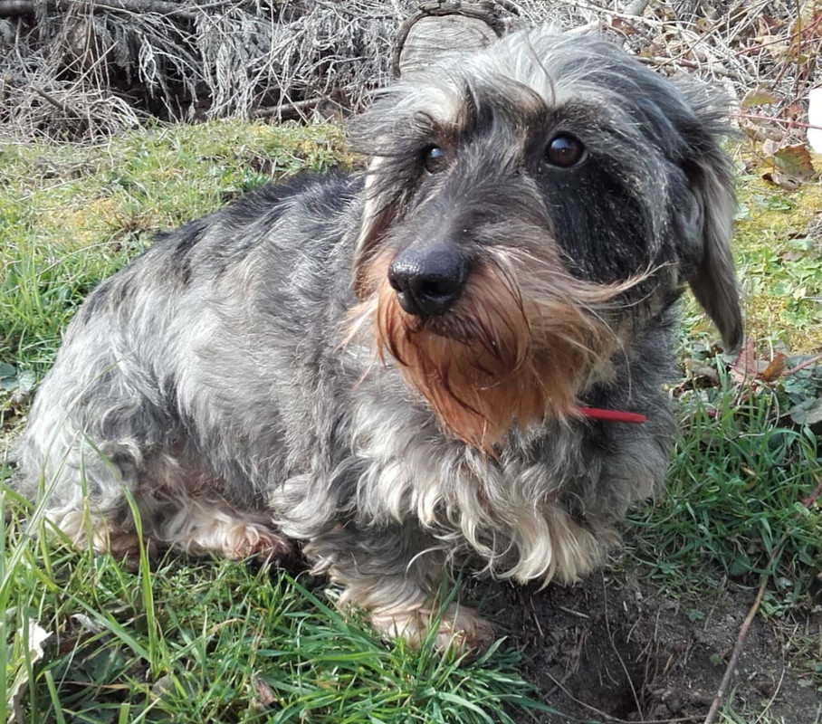 [Image: 20220302-130853.jpg]