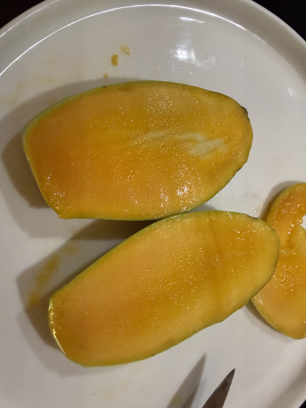 Mango OS Cut 4 26