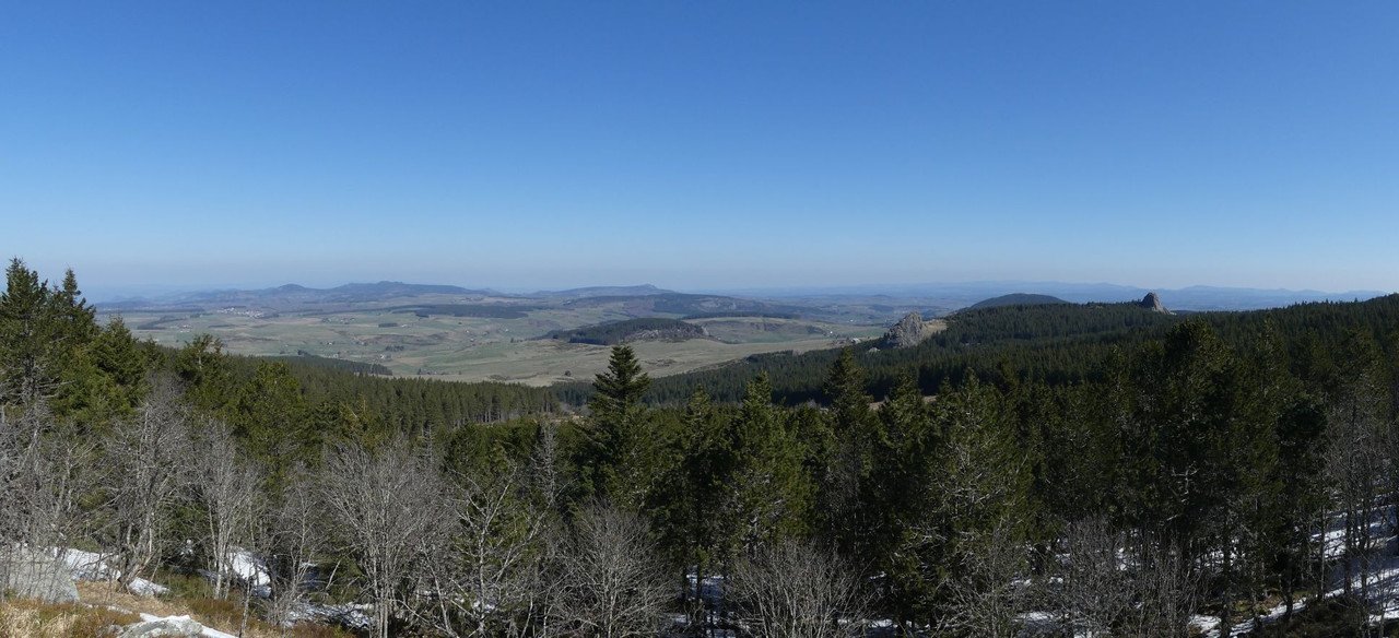 P1100356.jpg