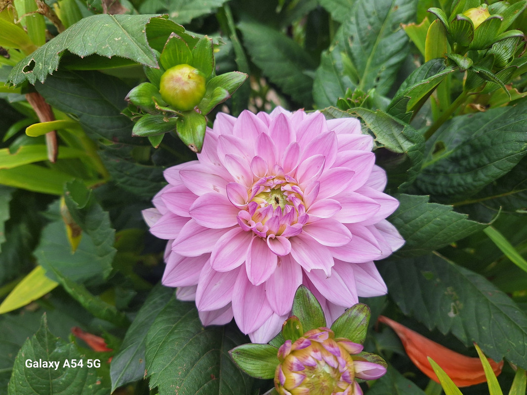 [Image: 20240702-134711.jpg]