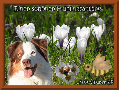 An den Beitrag angehängtes Bild: https://i.postimg.cc/Yqvc1rx9/fr1l.gif