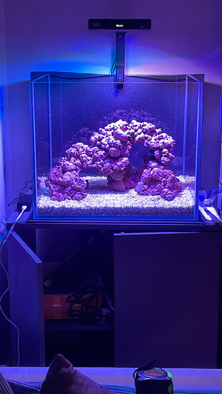 DEB5EC23-4D2D-4D51-BBDB-B36775D1AC52