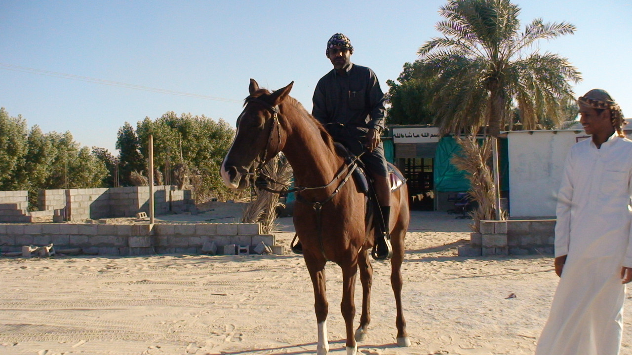 عبد الرحمن أحمد الرحيمان من محبين الخيل العربي ويمتلك خبره ف