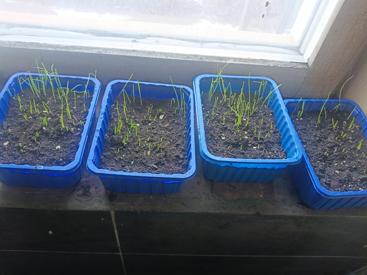 1769939653249695218242694911917