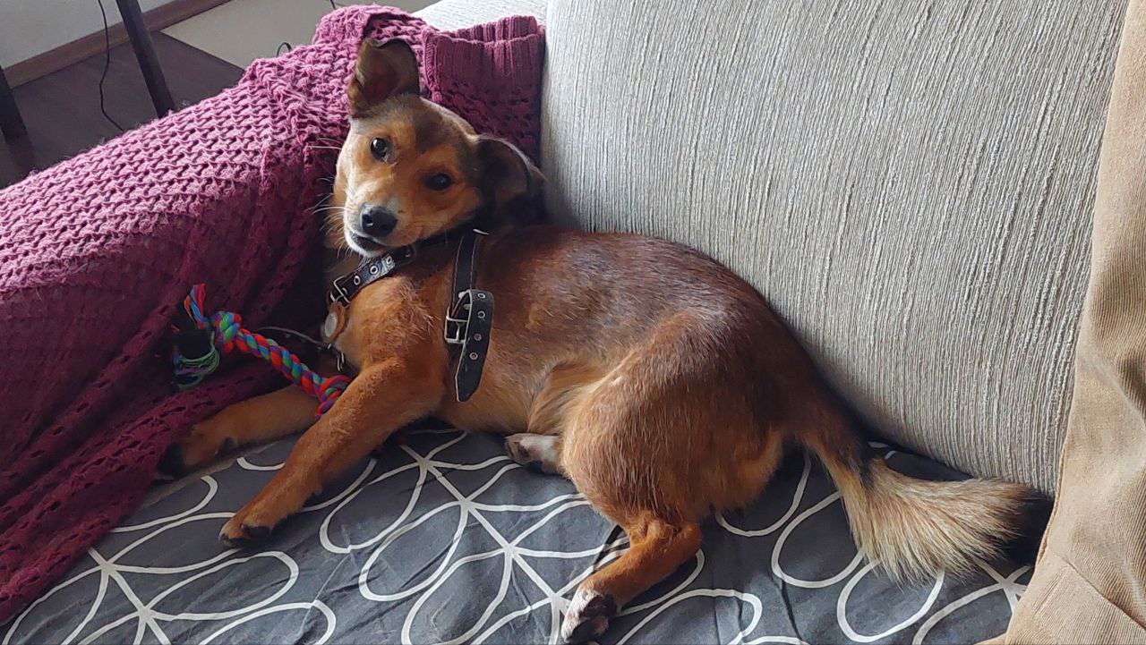 photo_2024-11-07_12-01-11