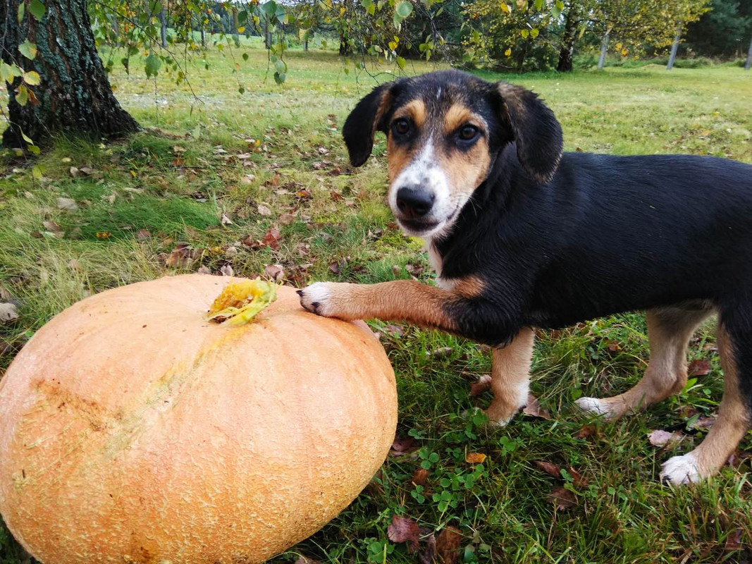 изображение_viber_2019-09-22_13-32-12