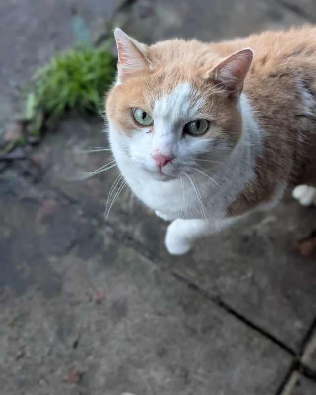 623520179 122156842580894556 2744971674609815962 n