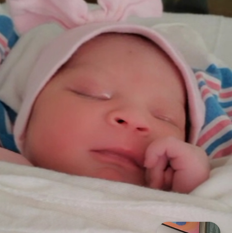 55905452-E709-4FB7-8B0C-F01F6A9ED8C2