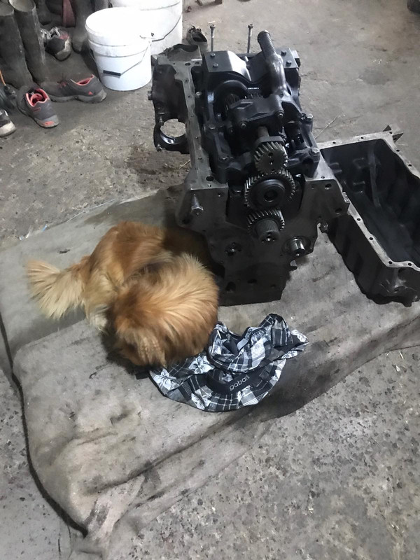 06068C93-AA4C-47F1-BC05-ADFE899D94CB