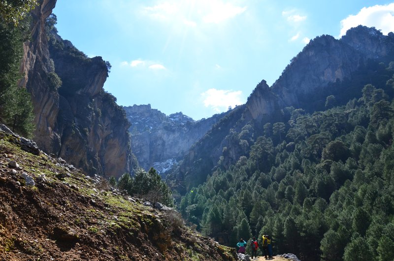 RUTA RIO BOROSA-12-3-2016-JAEN - Paseando por España-1991/2016 (88)