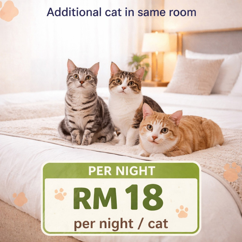 Cat Bath Offer