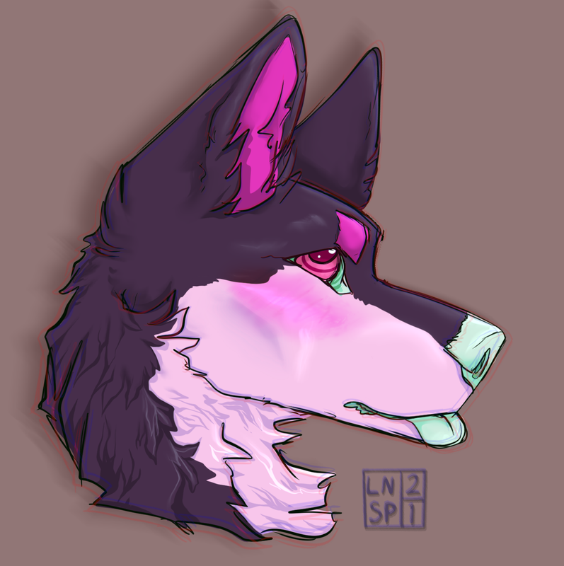 Bleh