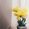 Icons-Neu-222