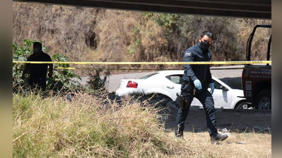 En medio de un predio de cultivo, encuentran el cadáver de un hombre; estaba putrefacto