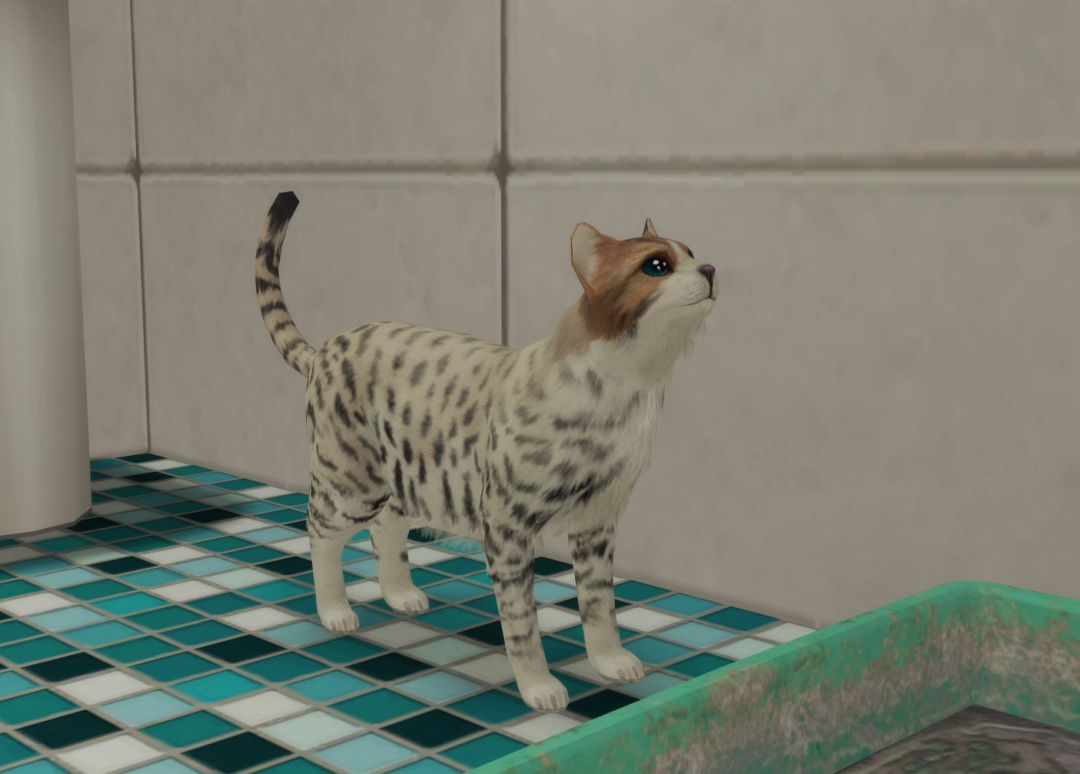 Sims2-EP9-RPC-2024-02-24-20-11-46-39