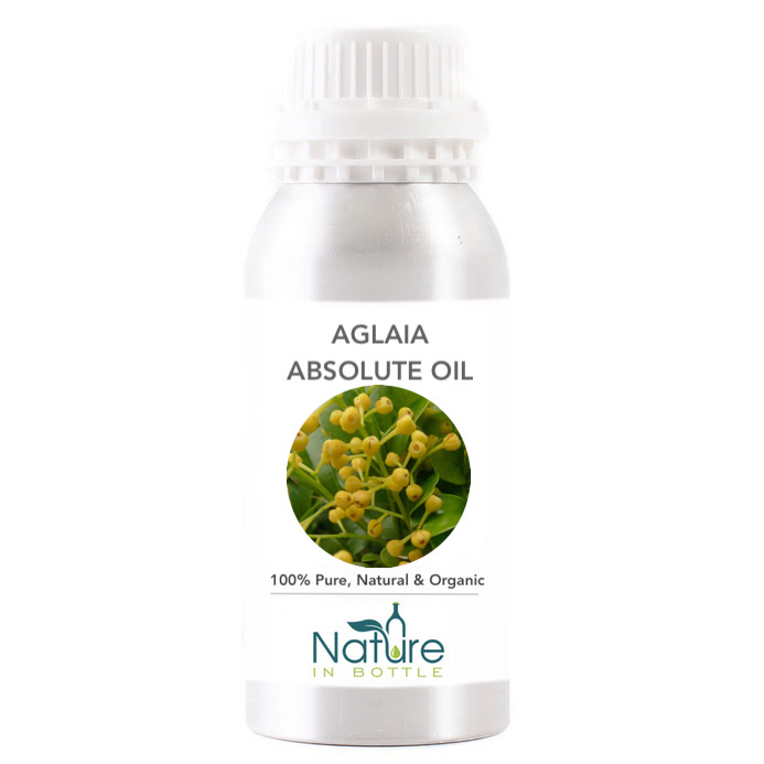 Aglaia Absolute Organic Aglaia odorata Essential Oil