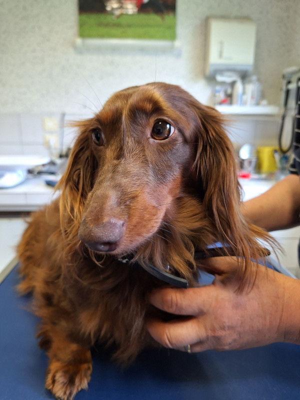 [Image: 20240419-172416.jpg]