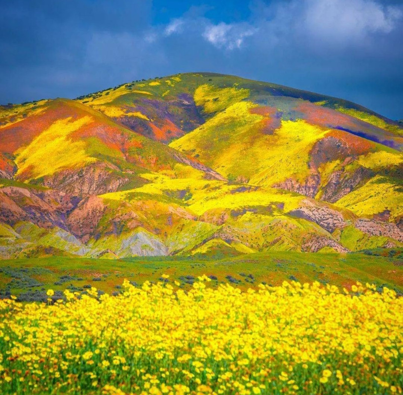 Screenshot_20240419_225752_Threads