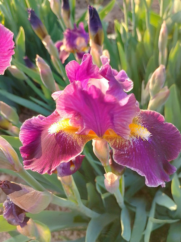 IMG_20240411_190450_HDR