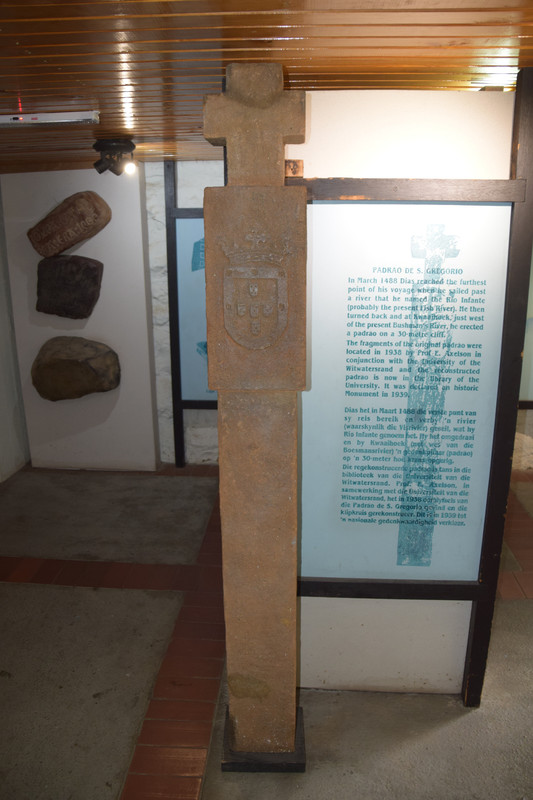 DSC_0173 (2)