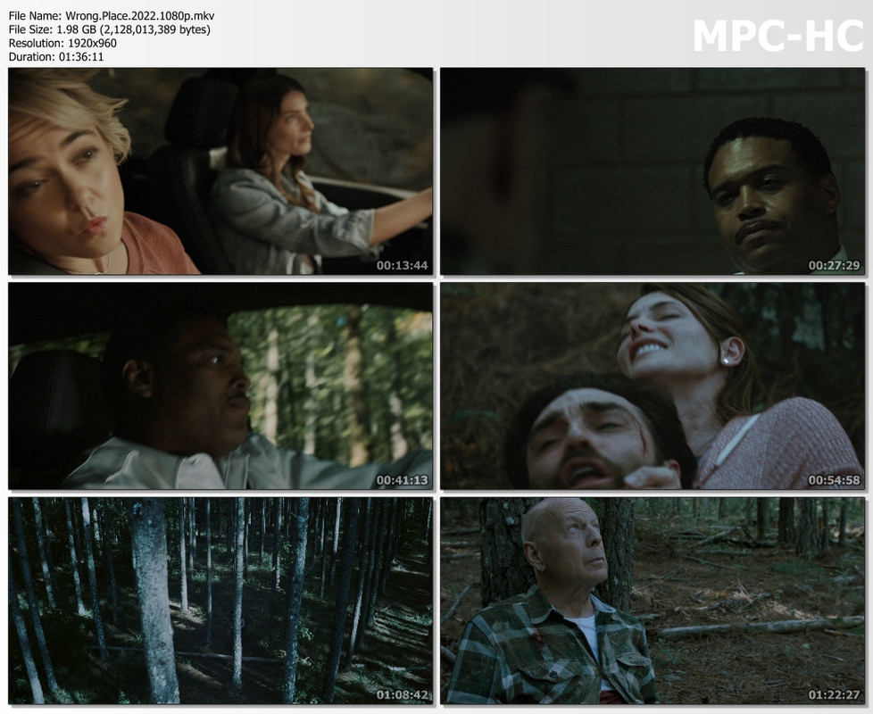 Wrong-Place-2022-1080p-mkv-thumbs.jpg