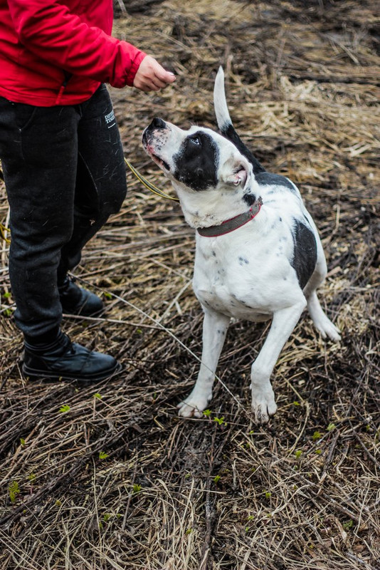 без имени-0309