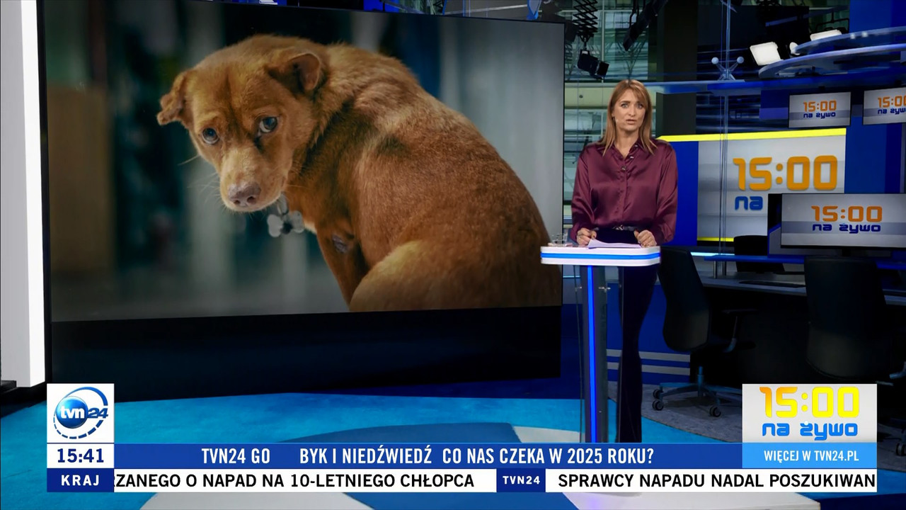 31 12 2024 dagmara kaczmarek tvn24 11