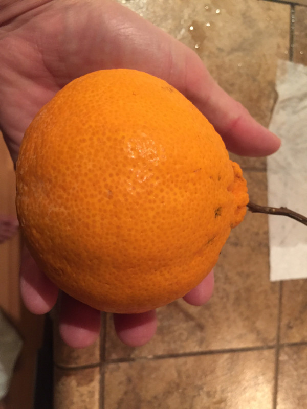 A056A818-E403-4BCA-8C1E-1FB72BFB82AE