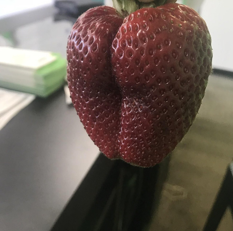 Okraina ir pornografija. Kas bendro?