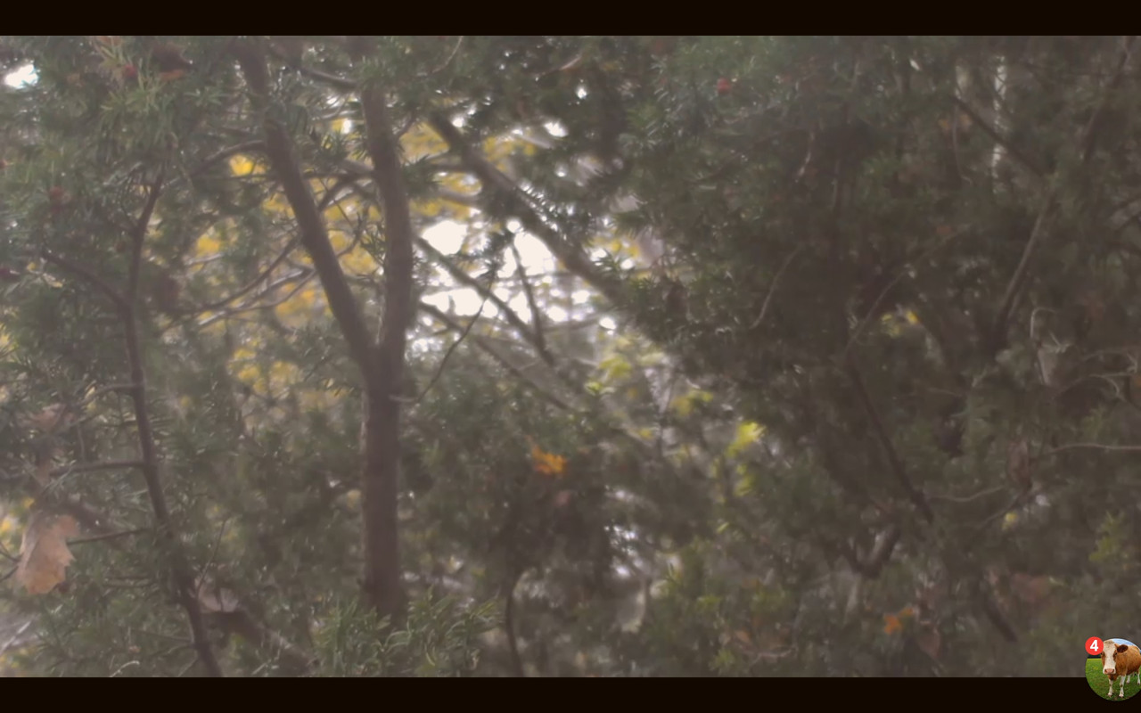 Screenshot-20191127-154805-Utopia.jpg