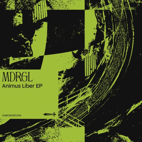 00-mdrgl-animus-liber-caeosdgtl013-web-2