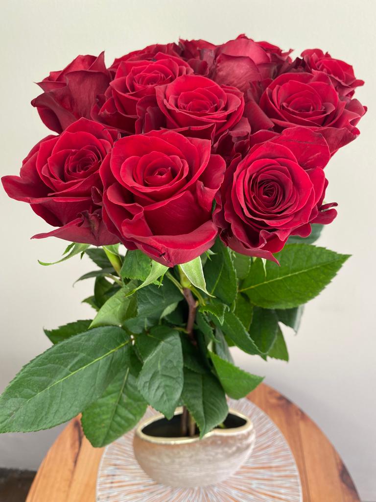 ROSAS ROJAS X 12 TALLOS — Postimages