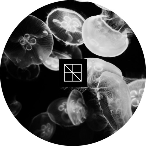 Stijn Vanmarsenille - Underneath The Sea Lies An Ocean Part 2 (2026)