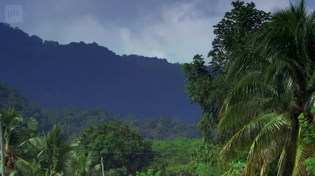 [Image: g15wznx9ukv4.jpg]