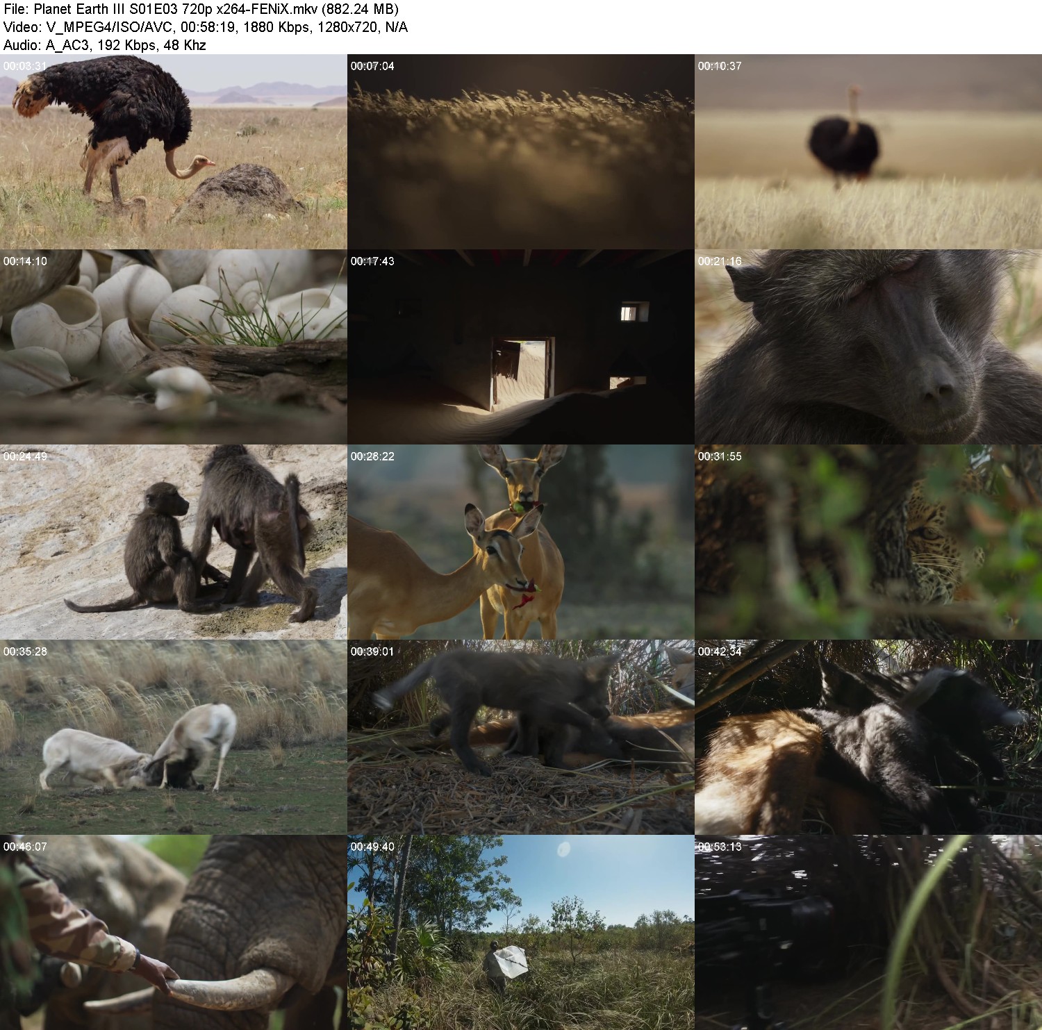 [Image: xe9pg54c2lla.jpg]