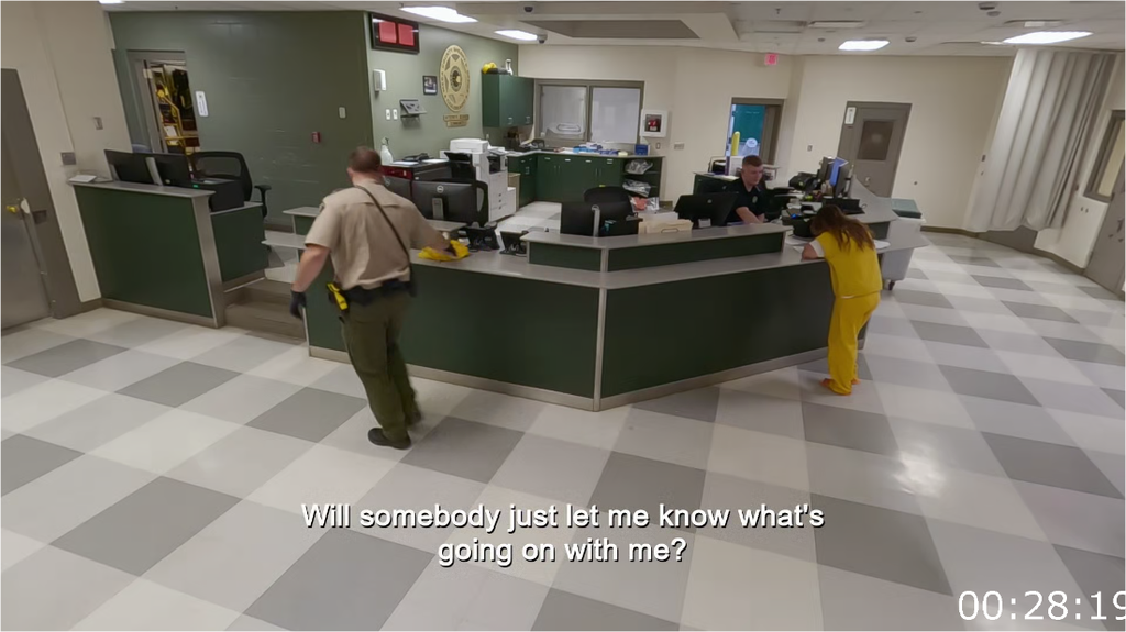 t1se6y2w8fys.png