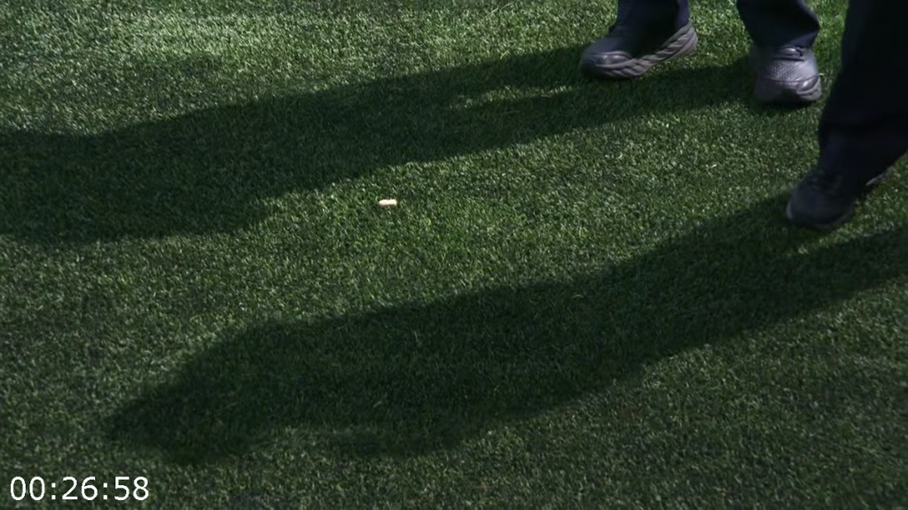 [Image: 8odgok85q7rk.png]