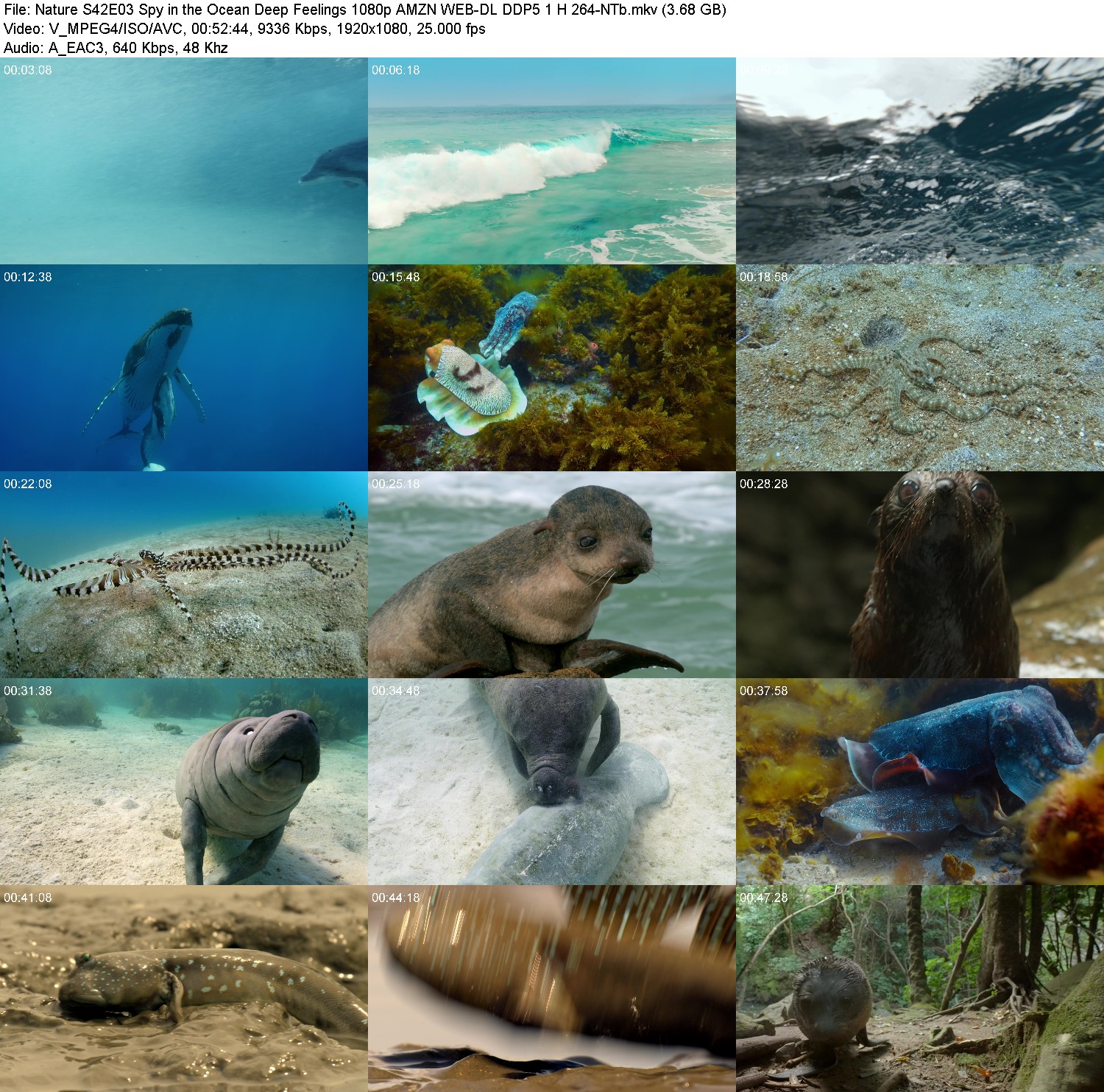 [Image: 7ysacxzyb814.jpg]