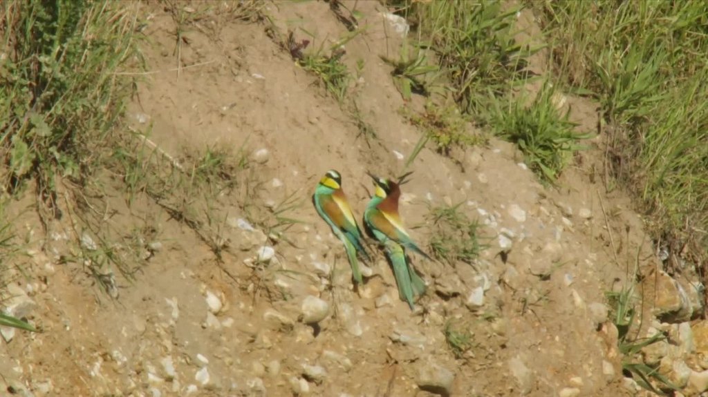 [Image: gd93zddyz43a.jpg]