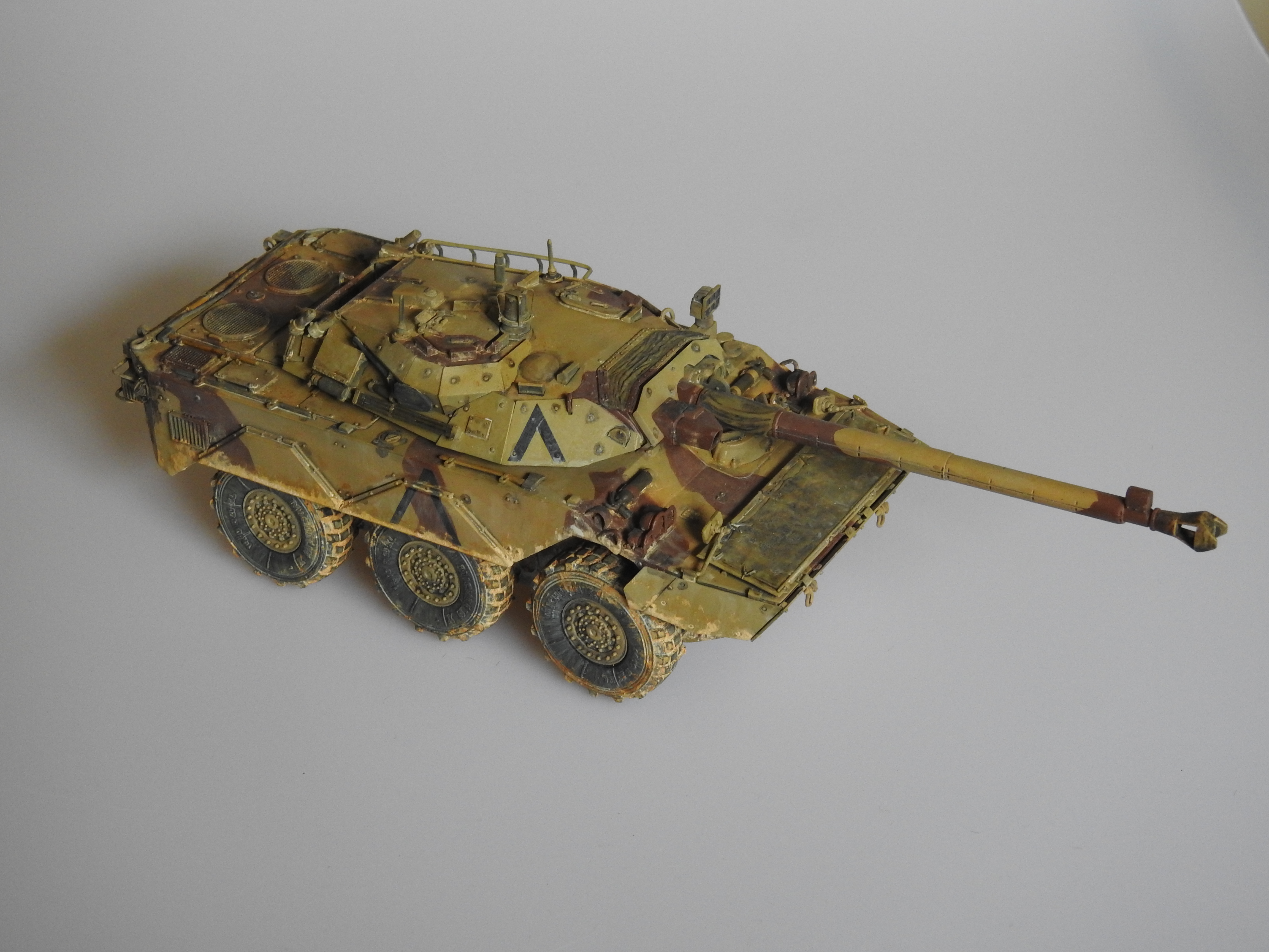 AMX-10RC 1/35 Tiger models – klar DSCN7376