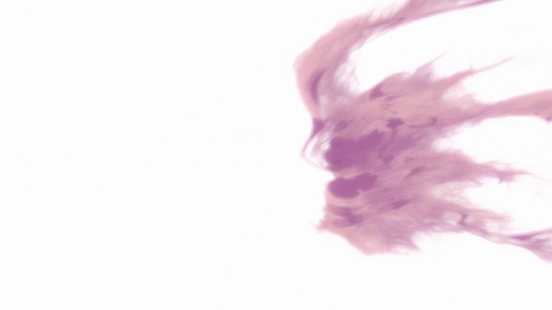 sn7ss3w58u.png