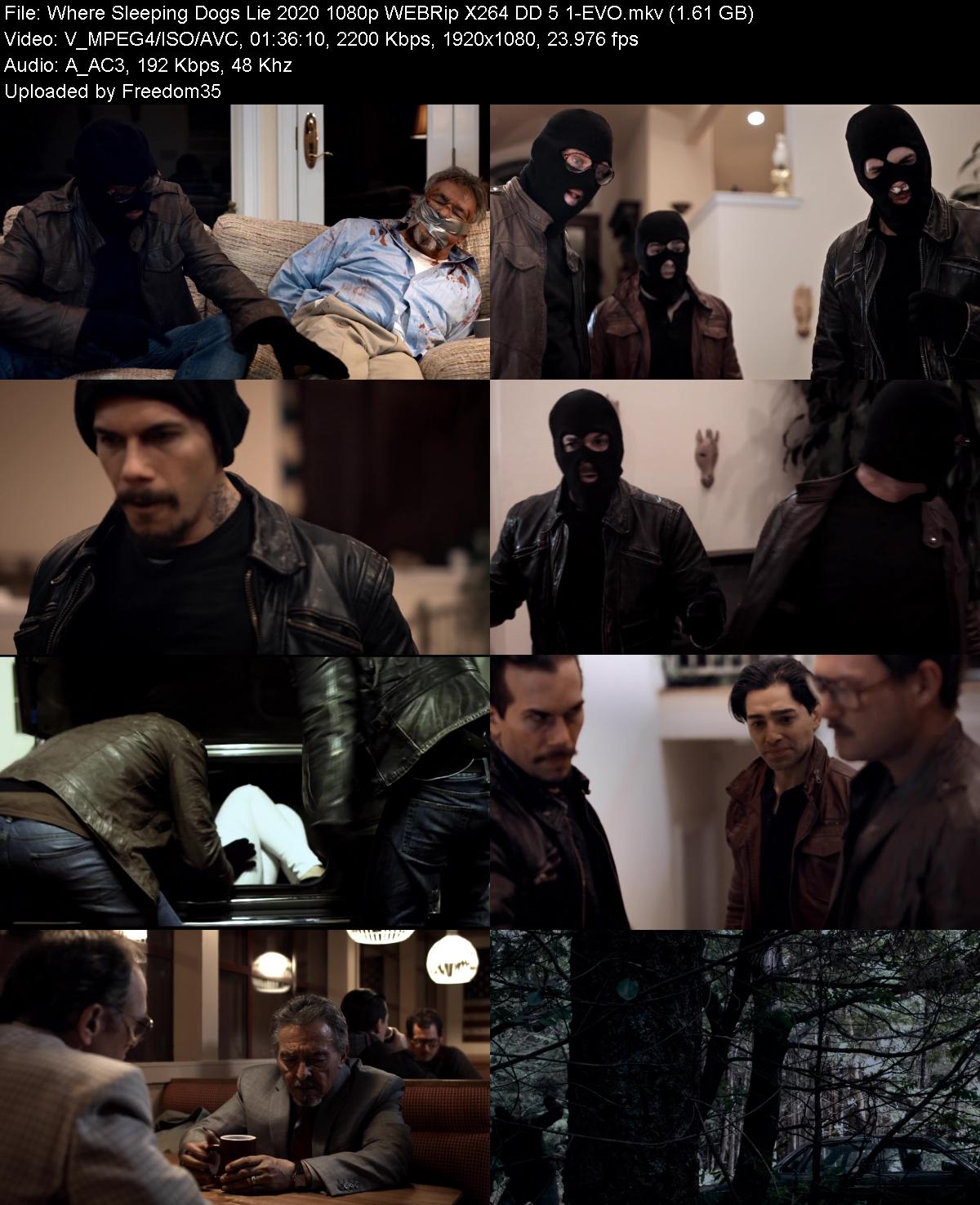 Where-Sleeping-Dogs-Lie-2020-1080p-WEBRi