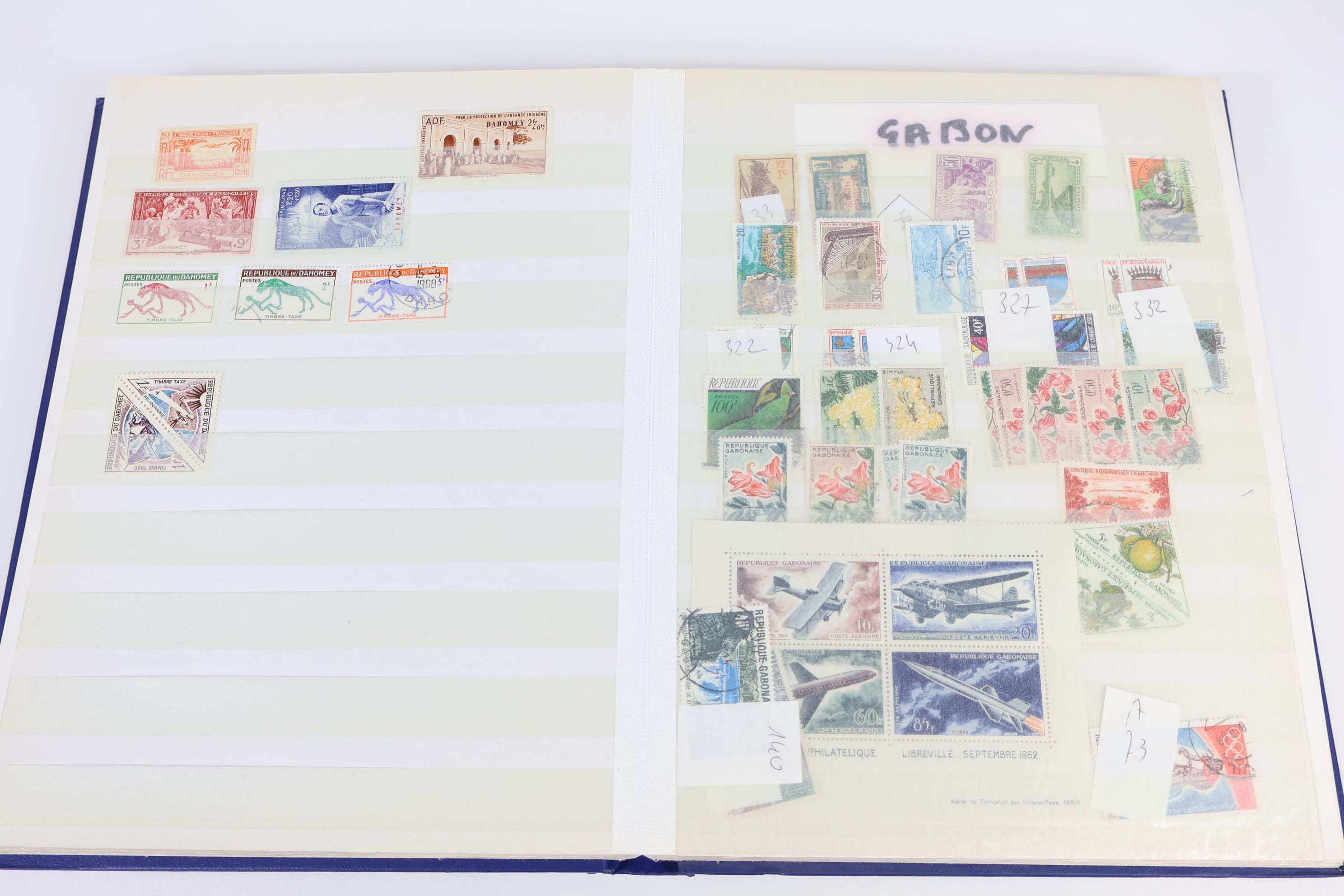 IMG-6270