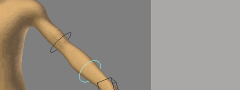 c-oxfox-fk-arm-isolate-rotation.gif