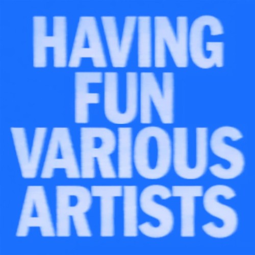 VA - Having Fun (2026) MP3